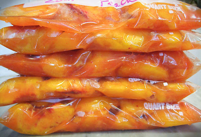 Fruit slices frozen and packed into zip-lock bags